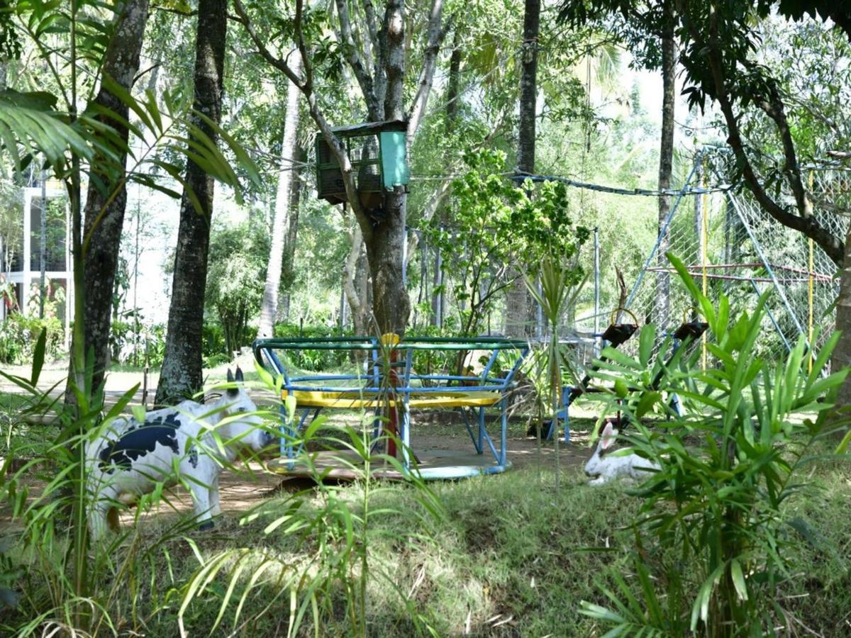 Coorg Green Farm Resort Kushālnagar Kültér fotó